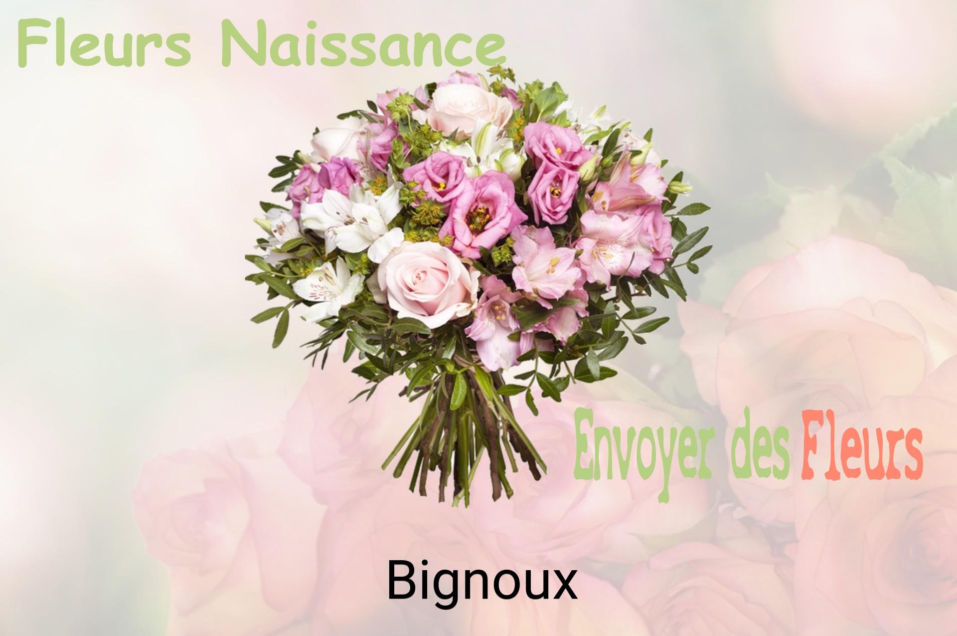 Bouquet de fleurs de naissance livré à Bignoux